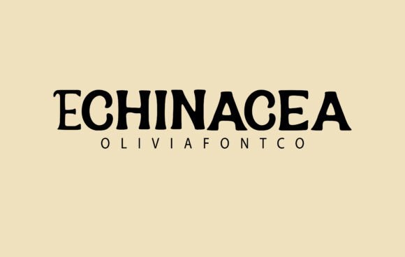 Echinacea Font - Featured Image