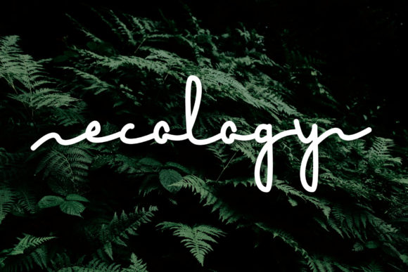 Ecology Font - Featured Image