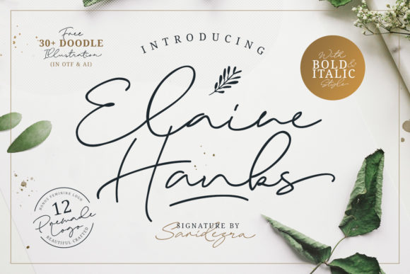 Elaine Hanks Font - Featured Image
