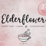 Elderflower Font - Featured Image
