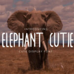 Elephant Cutie Font - Featured Image