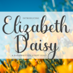 Elizabeth Daisy Font - Featured Image