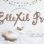 ElleXit Pro Font - Featured Image