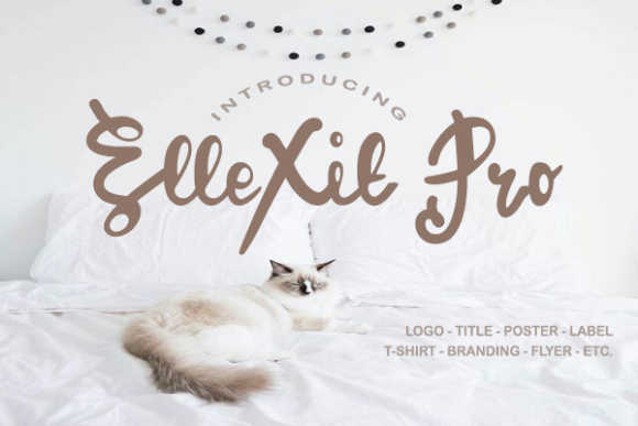 ElleXit Pro Font - Featured Image