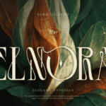 Elnora Font - Featured Image