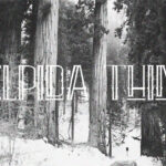 Elpida Thin Font - Featured Image