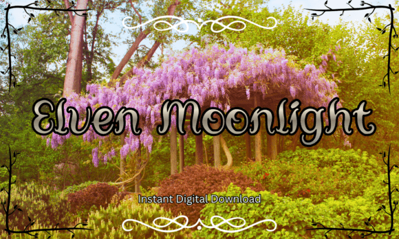 Elven Moonlight Font - Featured Image