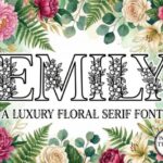Emily Font - Featured Image