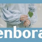 Enbora Font - Featured Image