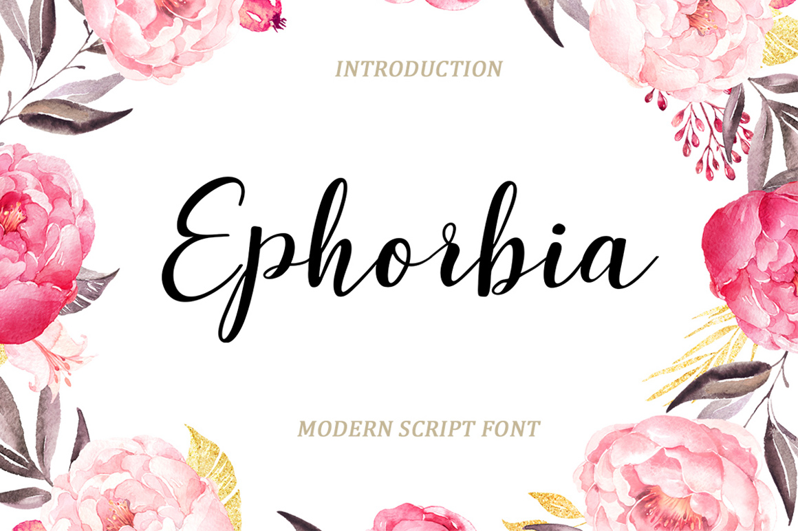 Ephorbia Font - Featured Image