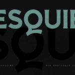 Esquie Neo Grotesque Font - Featured Image