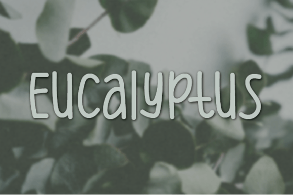 Eucalyptus Font - Featured Image