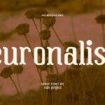 Euronalist Font - Featured Image