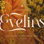 Evelins Font - Featured Image