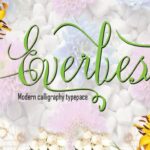Everbest Font - Featured Image