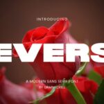 Evers Font - Featured Image