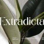 Extradicta Font - Featured Image