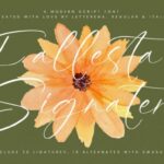 Fallesta Signatera Font - Featured Image