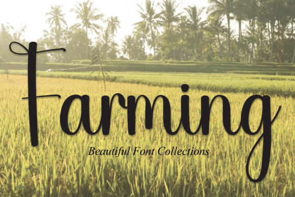 Farming Font - Featured Image