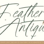 Feather Antique Font - Featured Image