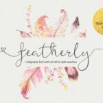 Featherly Font - Featured Image