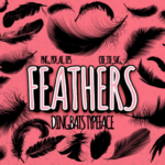 Feathers Font - Featured Image