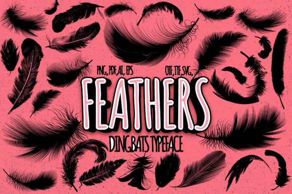 Feathers Font - Featured Image