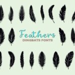 Feathers Font - Featured Image