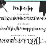 Feathertop Font - Featured Image