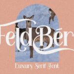 Feldberg Font - Featured Image