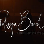 Felisya Banatier Font - Featured Image