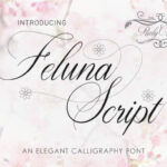 Feluna Script Font - Featured Image