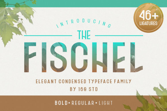 Fischel Family Font - Featured Image