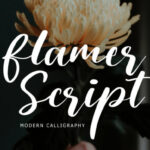 Flamer Script Font - Featured Image