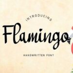 Flamingo Font - Featured Image