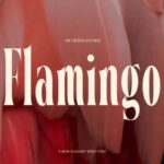 Flamingo Font - Featured Image
