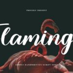 Flamingo Font - Featured Image