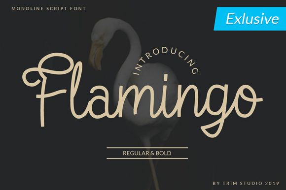 Flamingo Font - Featured Image