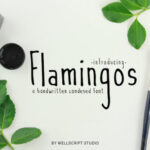 Flamingos Font - Featured Image