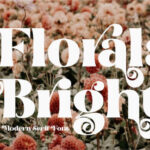 Florals Bright Font - Featured Image