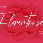 Florentroses Signature Font - Featured Image