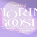 Florin Goose Font - Featured Image