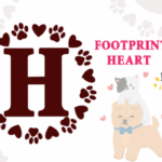 Footprints Heart Font - Featured Image