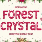 Forest Crystal Font - Featured Image