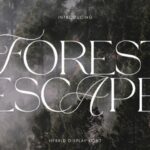 Forest Escape Font - Featured Image