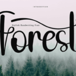 Forest Font - Featured Image