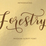 Forestry Font - Featured Image