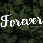 Forever Script Font - Featured Image