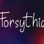Forsythia Font - Featured Image