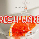 Fresh Water Font - Featured Image
